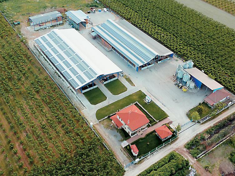 Koutsioftis farma landscape